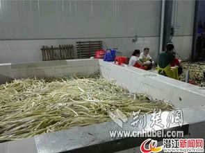 潛江一水產(chǎn)加工廠停水危機(jī)，消防緊急運(yùn)送30噸水解困